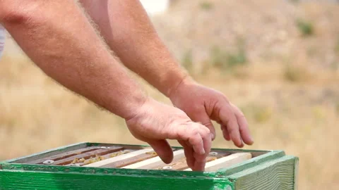Beekeeper's Work on the Apiary is Over Stock Footage 135522825