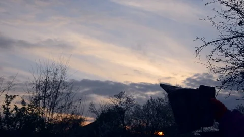 Beekeepers in work Stock Footage 71477716