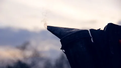 Beekeepers in work Stock Footage 71477924