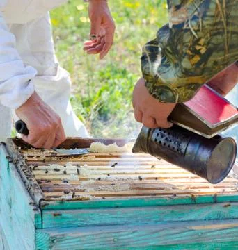 Beekeepers at work Stock Photos