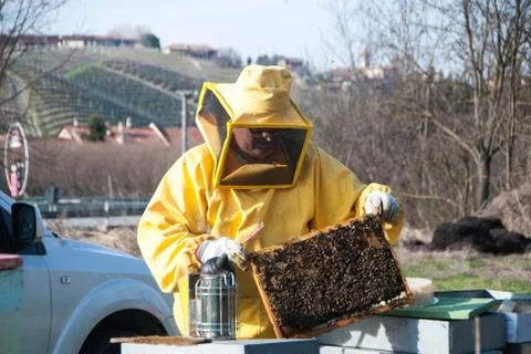Beekeeping and bees Foto stock