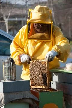 Beekeeping and bees Stock Photos