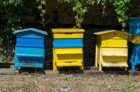 Beekeeping in a back yard. Bee hives Stock Photos