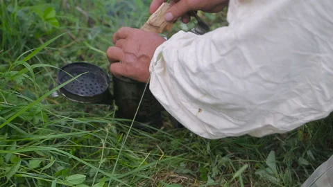 A beekeeping basic equipment - bee smoker - on the top of bee hive on a summer Stock Footage 95422324