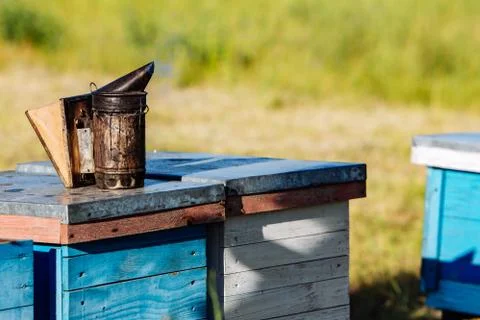 A beekeeping basic equipment - bee smoker - on the top of bee hive 写真素材