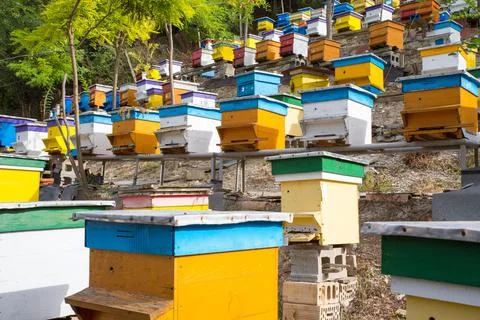 Beekeeping. Bee hives Stock Photos