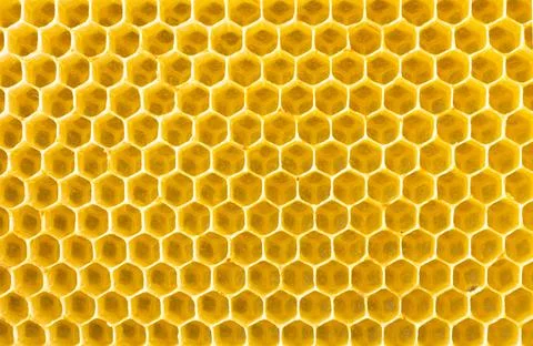Beekeeping - close-up of the cells of a frame partially filled with honey Stock Photos