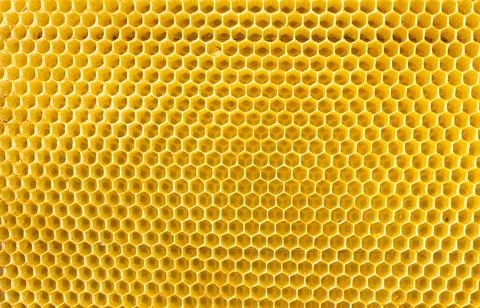 Beekeeping - close-up of the cells of a frame partially filled with honey Stock Photos