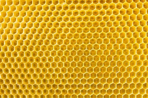 Beekeeping - close-up of the cells of a frame partially filled with honey Stock Photos