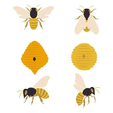 Beekeeping design elements collection. Stock Illustration