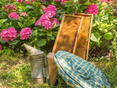 Beekeeping equipment	 Foto stock