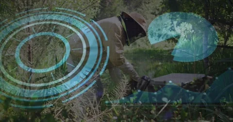 Beekeeping expert using tool at hive lifting revealing scan overlay inspecting Stockbeeldmateriaal 319573070