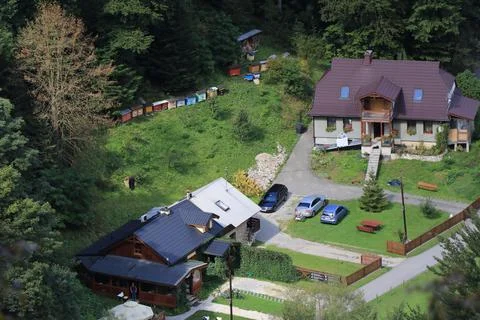 Beekeeping farm Stock Photos