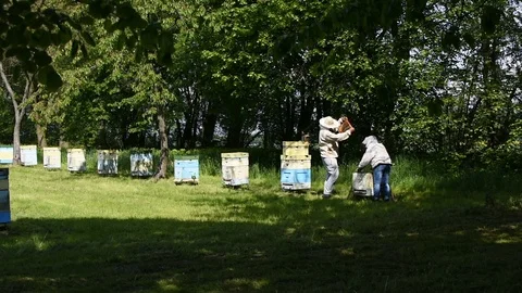 Beekeeping 스톡 동영상 107828306