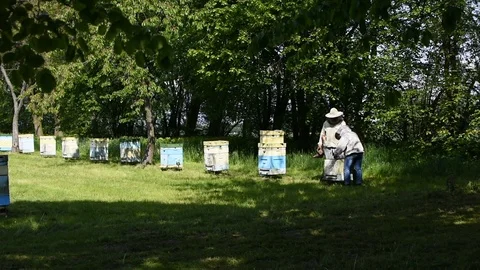 Beekeeping Video stock 107828351