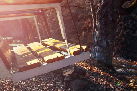 Beekeeping in the forest ... Stock Photos