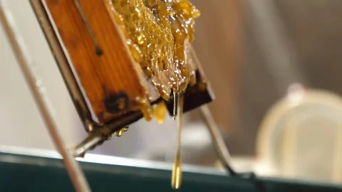 Beekeeping, honey extraction process, selective focus Video stock 94179546