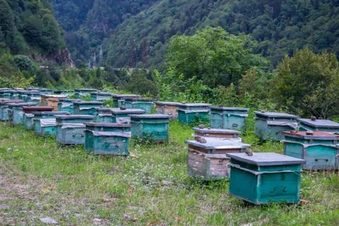 Beekeeping in the mountains Stock Photos