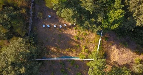 BEEKEEPING PANEL AERIAL VIEW Stock Footage 95095054