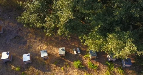 BEEKEEPING PANEL AERIAL VIEW Stock Footage 95095073