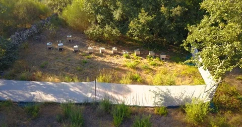 BEEKEEPING PANEL AERIAL VIEW Stock Footage 95095111