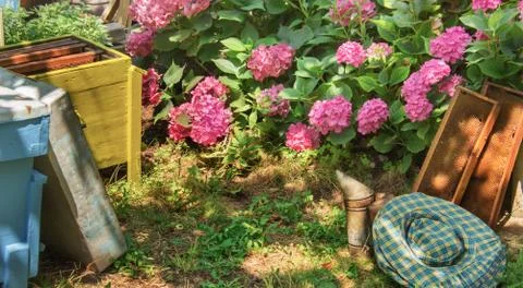 Beekeeping Foto stock