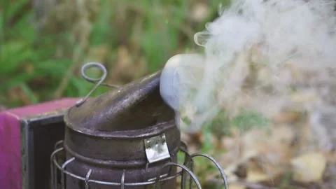 Beekeeping tool close up. Stock Footage 142382220