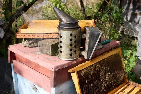 Beekeeping tools and bees on a beehive with smoker working Stock Photos