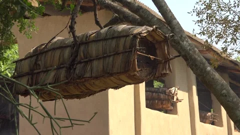 Beekeeping With Traditional Wicker Basket, Log and Skep Beehive - Wooden Hive Stock Footage 339821407