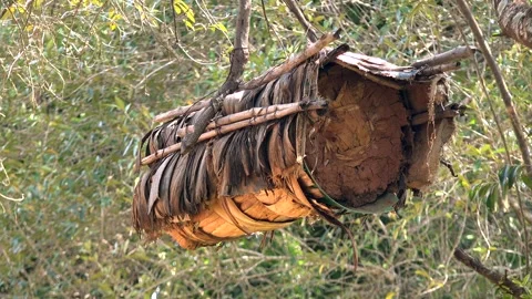 Beekeeping With Traditional Wicker Basket, Log and Skep Beehive - Tree Beehive Stock Footage 339821411
