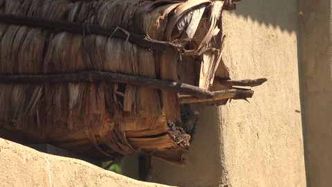 Beekeeping With Traditional Wicker Basket, Log and Skep Beehive - Honey Hive Stock Footage 339821418