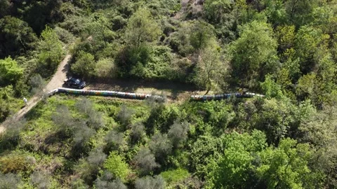 Beekeeping in Tuscany 動画素材 153983290