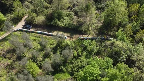 Beekeeping in Tuscany 動画素材 153983474