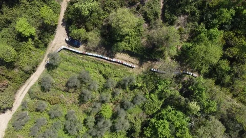 Beekeeping in Tuscany 動画素材 153983690