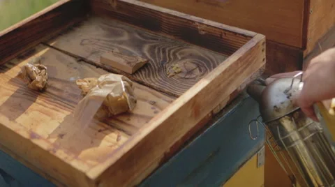 Beekeper smoking a Bee Hive 01 Stock Footage 54598292