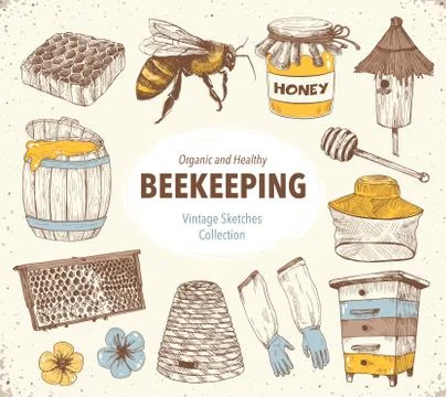 Beekeping Sketches Collection Stock Illustration