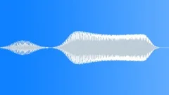 BeepElectronic S011SF.143 Sound Effect