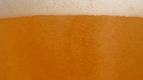 Beer 2.1 Stockbeeldmateriaal 122348335