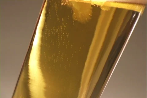 Beer 4 Video stock 314238