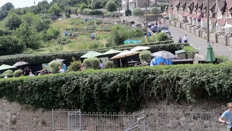 Beer, anchor garden set up Stock-Footage 138070087