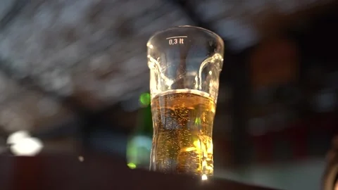 Beer And Hops Growing. Slow Motion. Close-Up. Video Stock Footage 252654379
