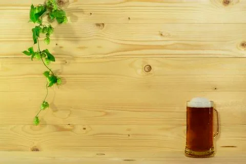 Beer and hops Stock Photos