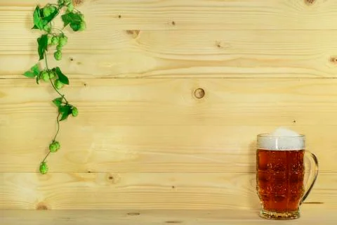 Beer and hops Stock Photos