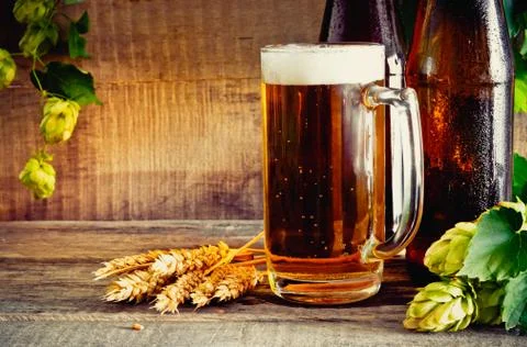 Beer and hops Stock Photos