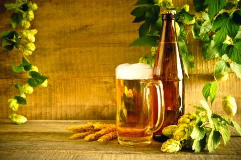 Beer and hops Stock Photos