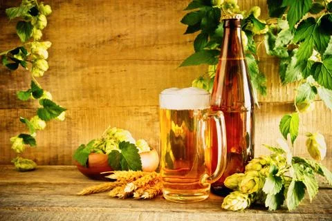 Beer and hops Stock Photos