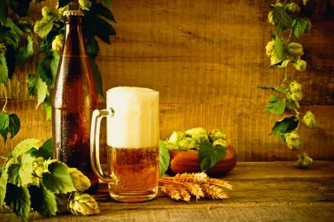 Beer and hops Stock Photos