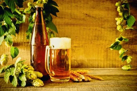 Beer and hops Stock Photos