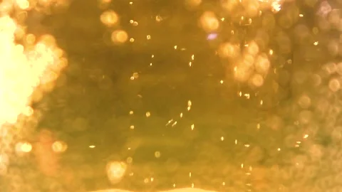 Beer background closeup Stock Footage 149473351