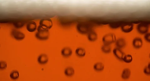 Beer background with foam and bubbles Extremely closeup slow motion Stock Footage 103639064